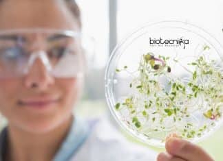 ICAR-IARI Biotech
