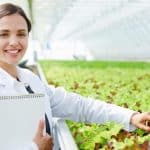 ICAR-NBPGR Mol Bio/Biotech/Plant Sciences Research Fellow Job ICAR-NBPGR Mol Bio