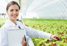 ICAR-NBPGR Mol Bio/Biotech/Plant Sciences Research Fellow Job ICAR-NBPGR Mol Bio