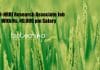ICAR-NRRI Research Associate Job With Rs. 49,000 pm Salary ICAR-NRRI Research Associate