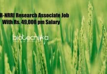 ICAR-NRRI Research Associate