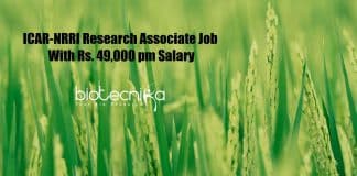 ICAR-NRRI Research Associate