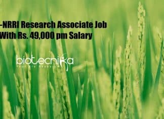 ICAR-NRRI Research Associate