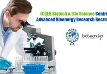 ICGEB Biotech & Life Science Centre for Advanced Bioenergy Research Recruitment ICGEB Research Associate Job