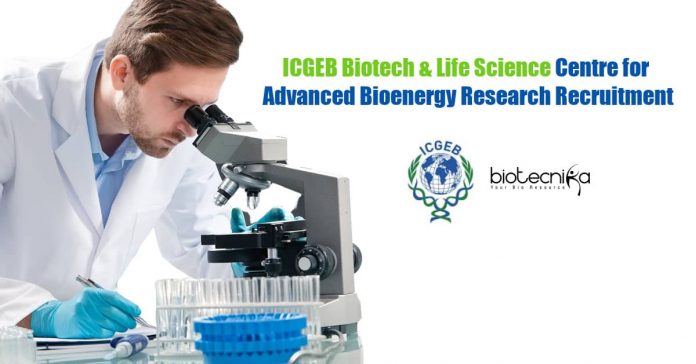 ICGEB Research Associate Job