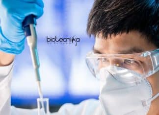 ICRISAT Biological Science Research Technician Vacancy Available ICRISAT Biological Science Research