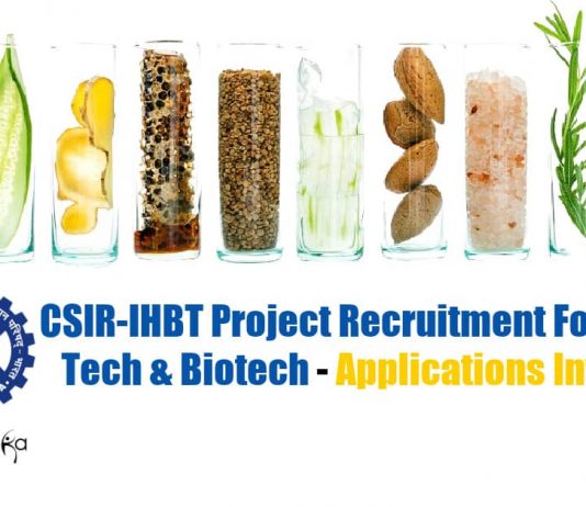 IHBT Food Tech Jobs