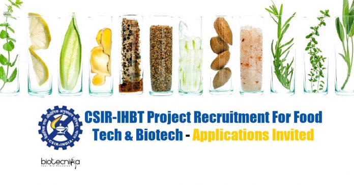 IHBT Food Tech Jobs