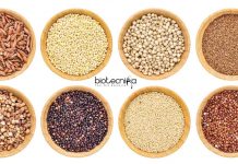 ICAR-Indian Institute of Millets Research Recruitment – SRF & YP Jobs IIMR SRF & YP