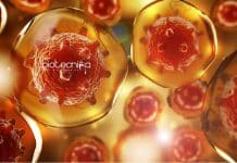 IISER Mohali Mol Bio Junior Research Fellow Job Opening IISER Mohali Mol Bio