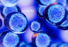 IISER TVM Biotech & Biological Sciences Junior Research Fellow IISER TVM Biotech