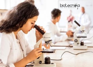 IIT Jodhpur PhD Research