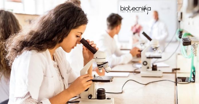 IIT Jodhpur PhD Research