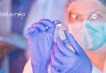 IIT Kanpur Project Post-Doctoral Fellow Jobs For Virology/Immunology IIT Kanpur Postdoc Jobs