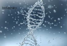 IIT Roorkee MSc/MTech Biotech JRF Job Opening IIT Roorkee Biotech Vacancy