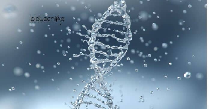 IIT Roorkee Biotech Vacancy