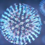 Indraprastha University Biological Sciences