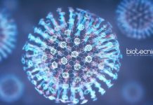 Indraprastha University Biological Sciences Research Fellow Job Opening Indraprastha University Biological Sciences