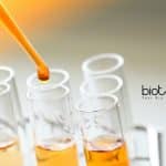 Jawaharlal Nehru University SCMM Biological Sciences SRF Job Opening JNU Biological Sciences SRF