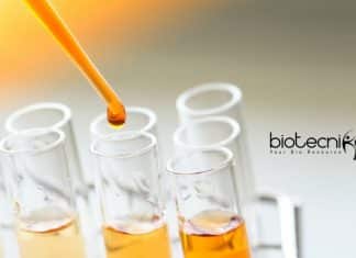 Jawaharlal Nehru University SCMM Biological Sciences SRF Job Opening JNU Biological Sciences SRF