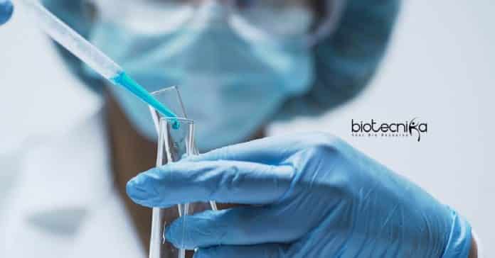 JNU Research Jobs
