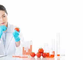 Jadavpur University Food Tech