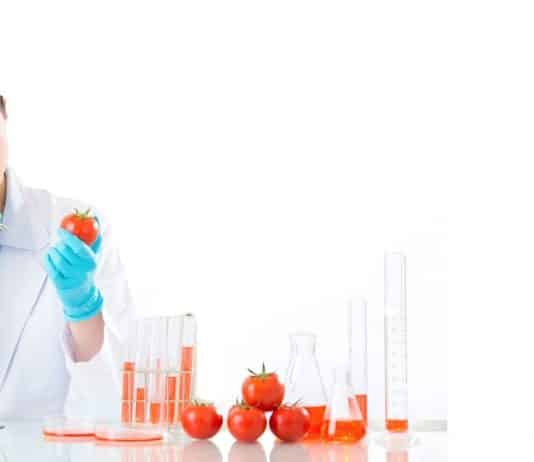 Jadavpur University Food Tech