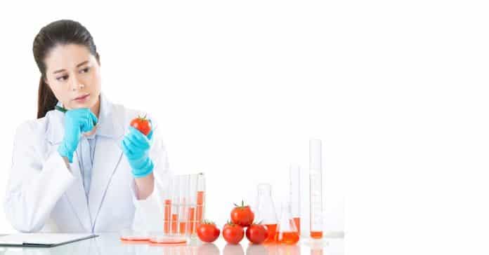 Jadavpur University Food Tech