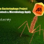 MACS ARI Pune Bacteriophage Project Recruitment – Biotech & Microbiology Apply MACS ARI Recruitment
