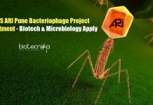 MACS ARI Pune Bacteriophage Project Recruitment – Biotech & Microbiology Apply MACS ARI Recruitment