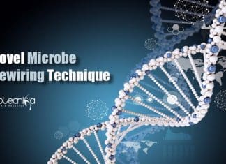 Berkeley Scientists Discover Novel Microbe Rewiring Technique Microbe rewiring technique