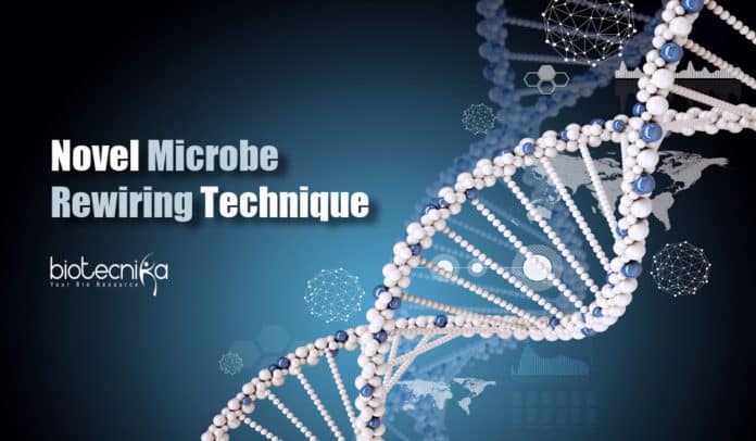 Microbe rewiring technique