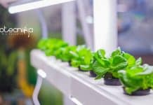 Mohanlal Sukhadia University Research Associate/Officer/Project Fellow Jobs Mohanlal Sukhadia University Jobs