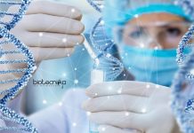 Mysore University Genetics Project Assistant Recruitment Mysore University Genetics Project