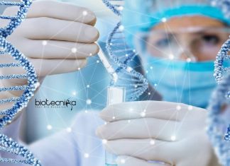 Mysore University Genetics Project Assistant Recruitment Mysore University Genetics Project