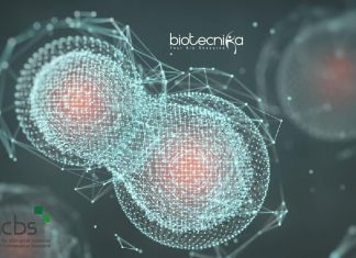 NCBS Bioinformatics Job