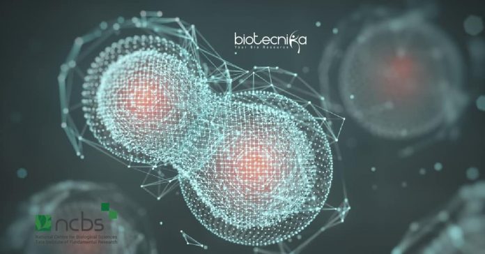 NCBS Bioinformatics Job