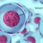 NCBS Cell and Molecular Biology Graduate Trainee Recruitment NCBS Cell Biology