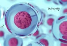 NCBS Cell and Molecular Biology Graduate Trainee Recruitment NCBS Cell Biology