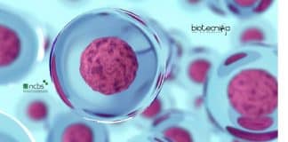 NCBS Cell Biology