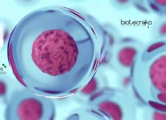 NCBS Cell and Molecular Biology Graduate Trainee Recruitment NCBS Cell Biology