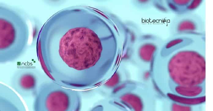 NCBS Cell Biology