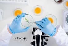 Govt NDDB Food Technology Scientist Recruitment – Apply Online NDDB Food Technology