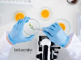 NDDB Food Technology