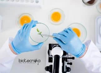 Govt NDDB Food Technology Scientist Recruitment – Apply Online NDDB Food Technology
