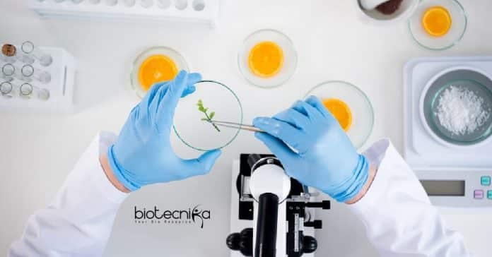 NDDB Food Technology