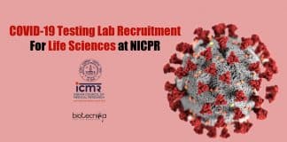 NICPR Jobs For Biotech