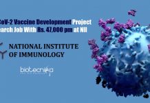 NII Immunology Jobs