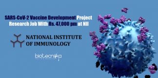 NII Immunology Jobs