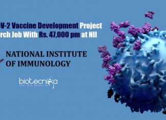 SARS-CoV-2 Vaccine Development Project Research Job With Rs. 47,000 pm at NII NII Immunology Jobs